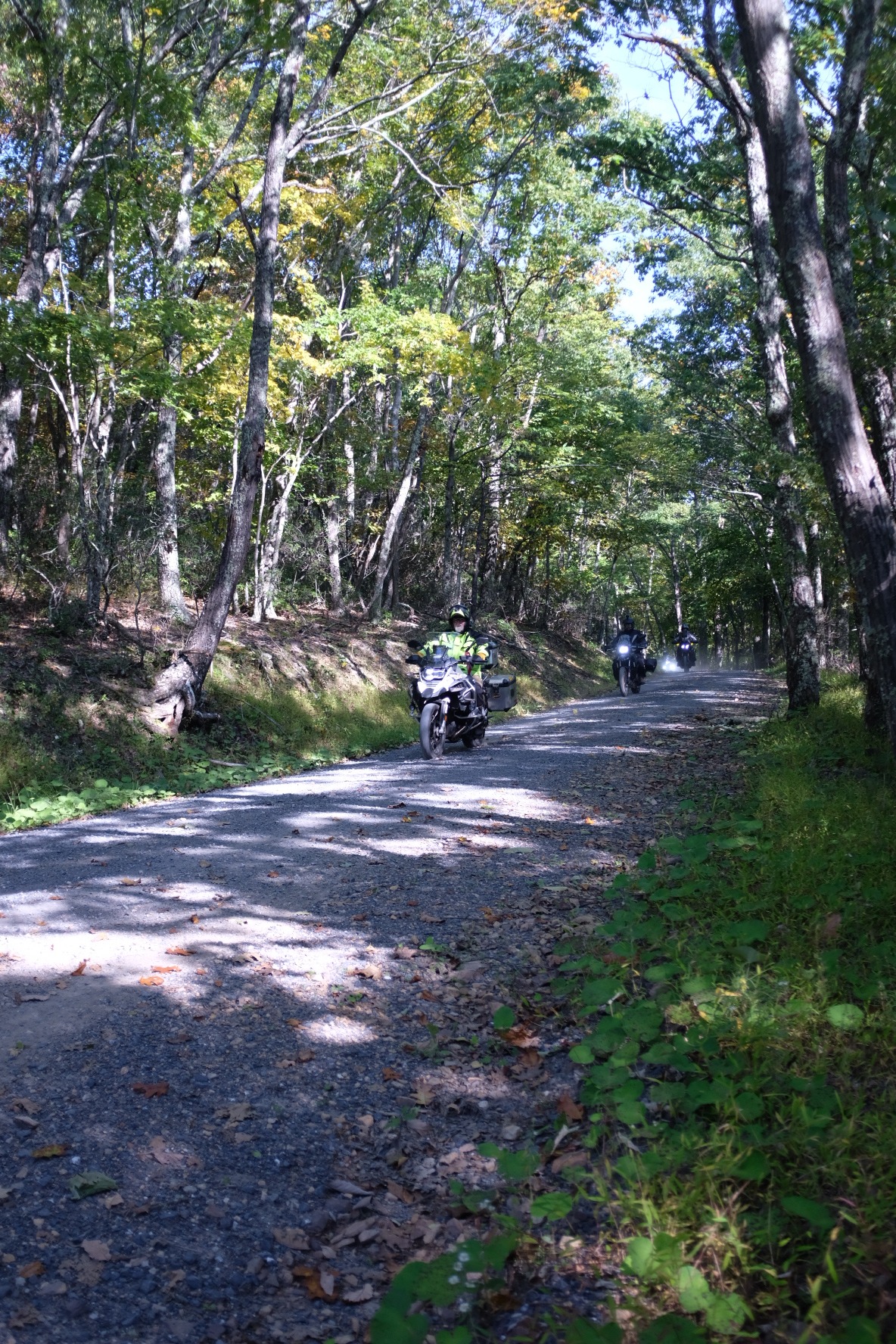 Rider in bright yellow gear approaching on a forest gravel road