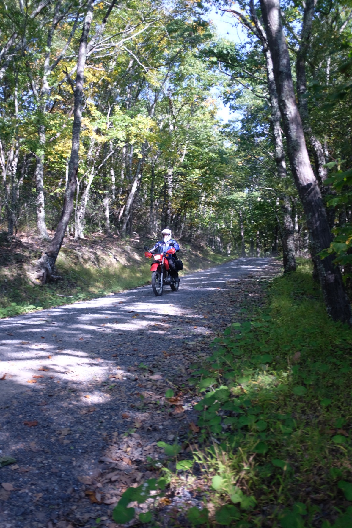 Rider on a red dual-sport motorcycle on a shaded gravel road