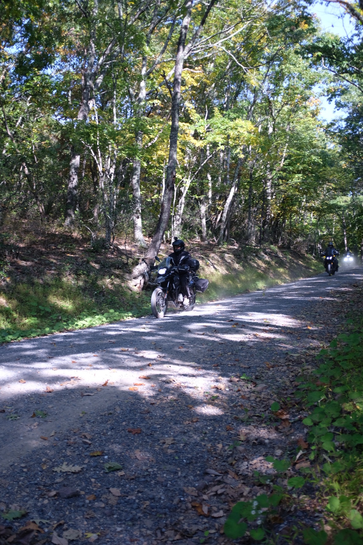 Motorcyclists riding in formation through the Virginia backcountry