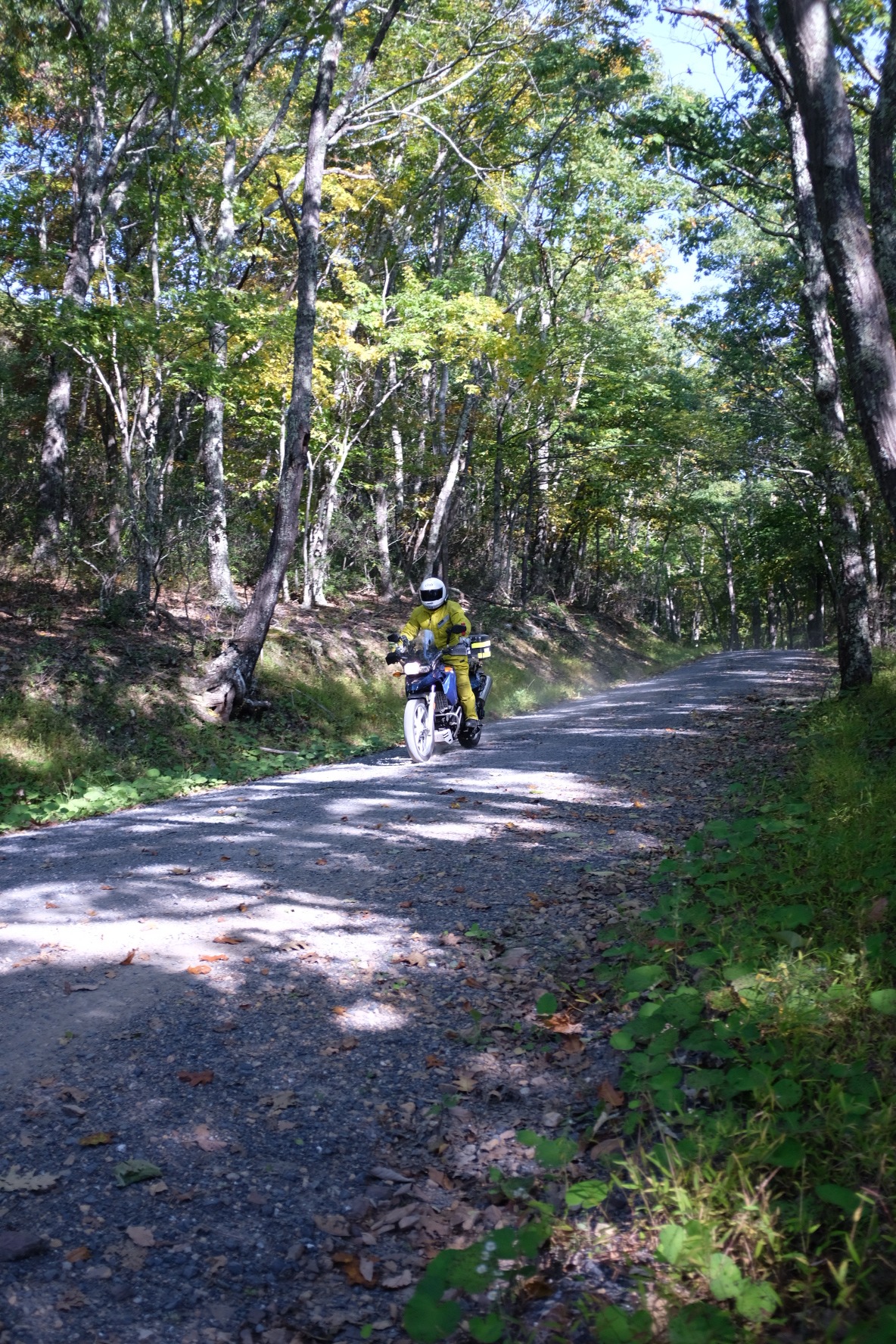 Rider in yellow gear on a blue motorcycle in the woods