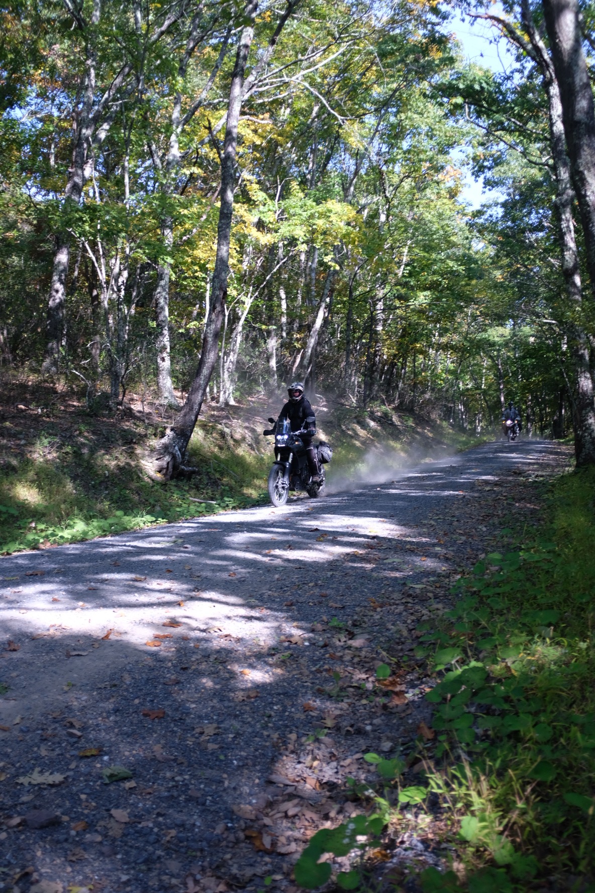 Motorcyclist riding through the wooded Virginia backcountry