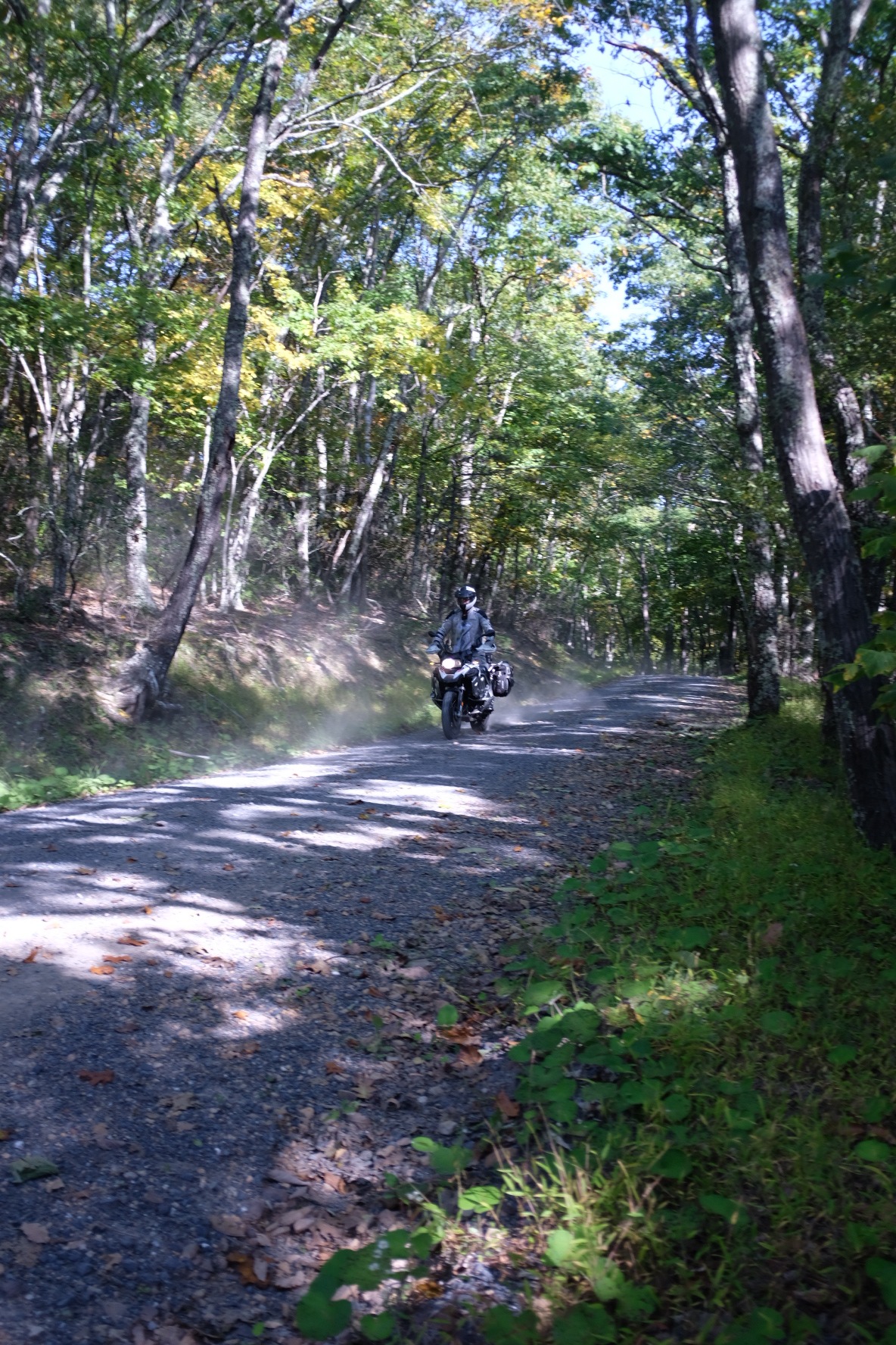 Adventure rider on a sunlit forest gravel road