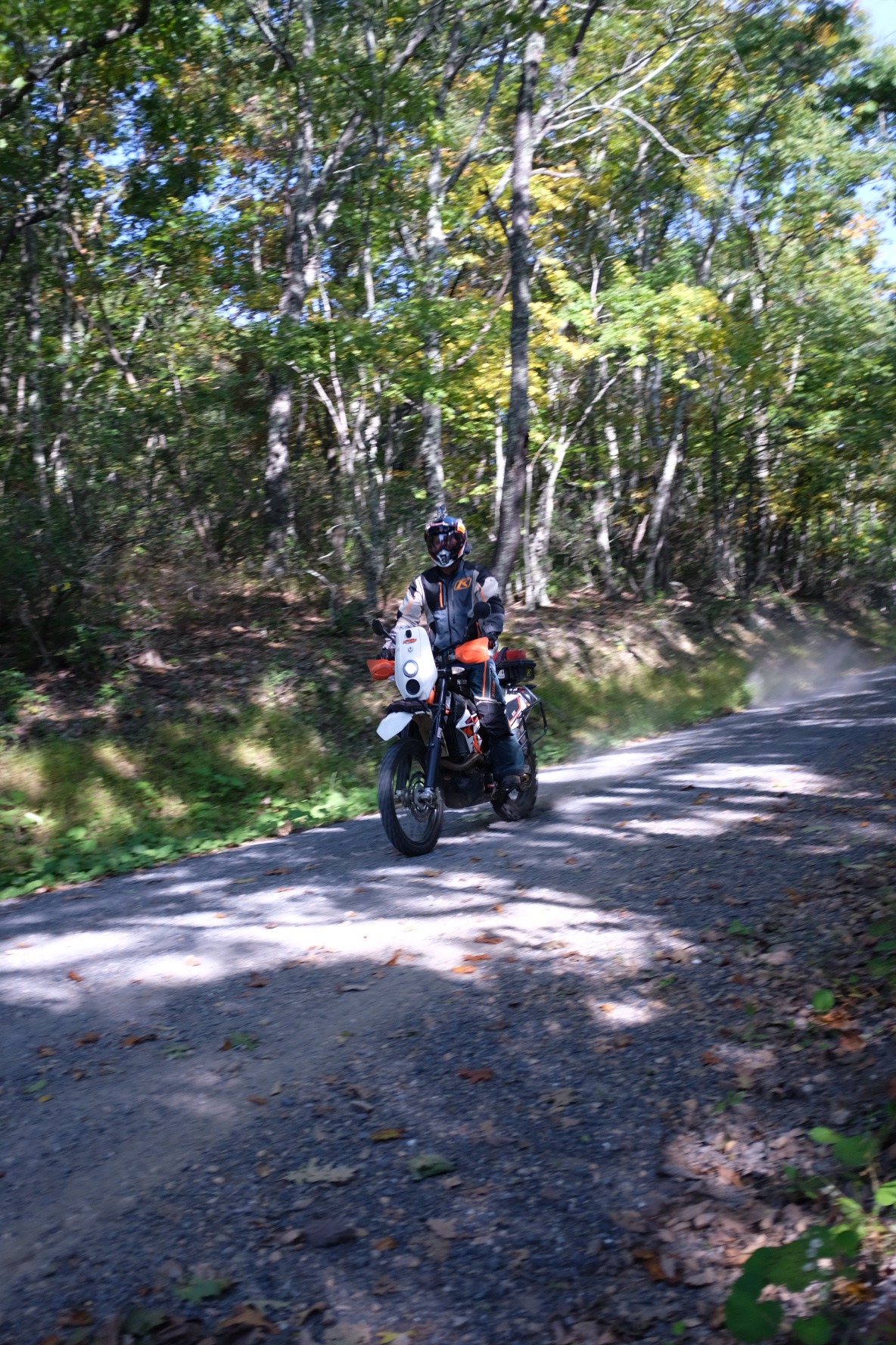 Rider on an orange and white motorcycle in the forest
