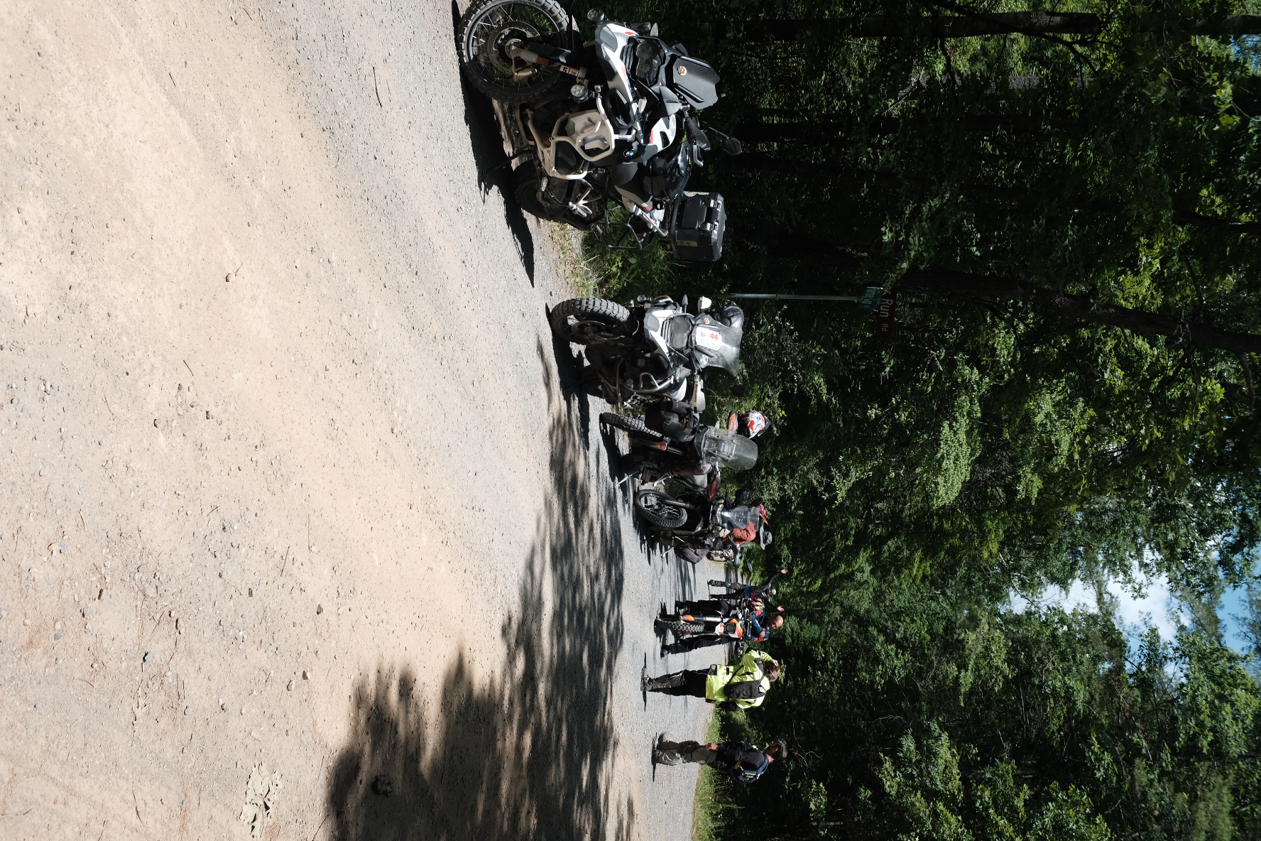 Riders and adventure bikes paused on a shaded gravel forest road